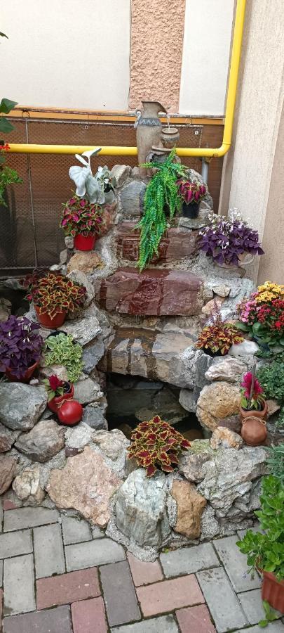 Casa Domneasca Rarau Hotel Campulung Moldovenesc Bagian luar foto